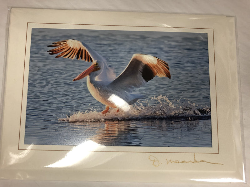 Card - Pelican Landing - David Meardon Photography