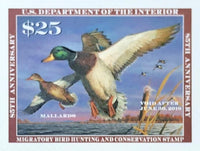 Federal Duck Stamp - Purchase to Support Wildlife and Habitat Conservation