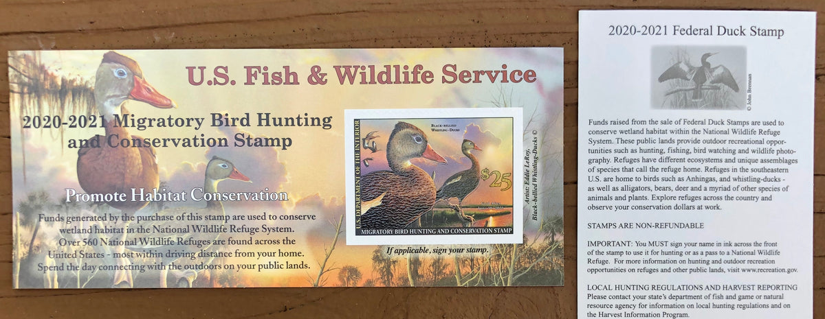 Federal Duck Stamp - Purchase to Support Wildlife and Habitat Conservation