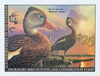 Federal Duck Stamp - Purchase to Support Wildlife and Habitat Conservation