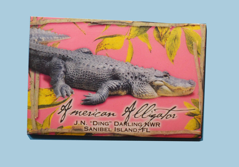 Wildlife Refrigerator Magnets - Alligator