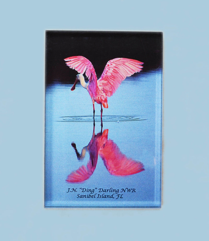 Photo Magnets - Spoonbill