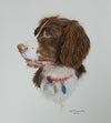Custom Dog Portrait by Local Artist Vince Thomalla