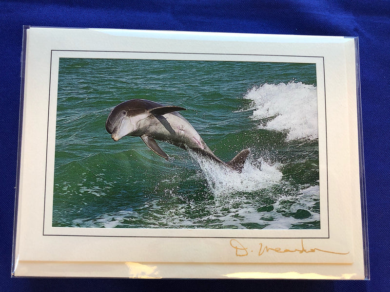 Card - Dolphin Jump - David Meardon Photography