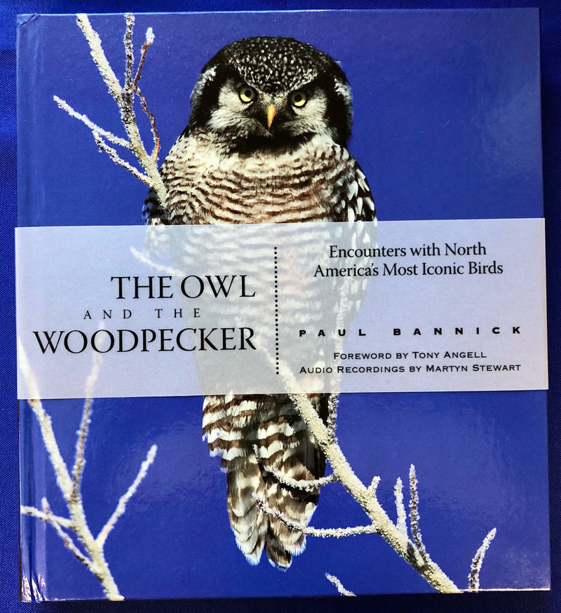 The Owl and the Woodpecker - Paul Bannick