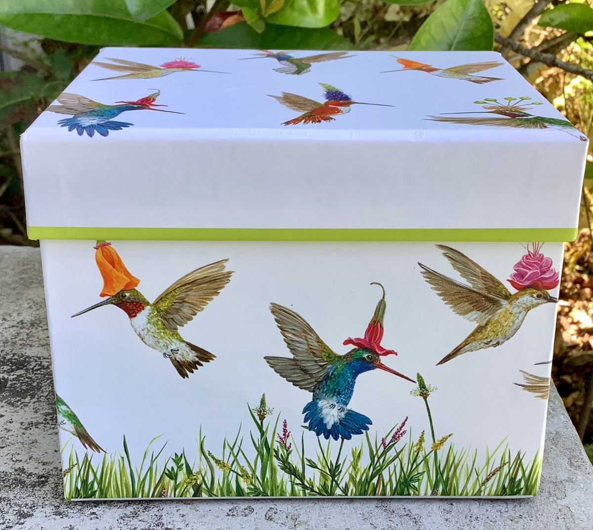 Meadow Buzz Mug and Gift Box