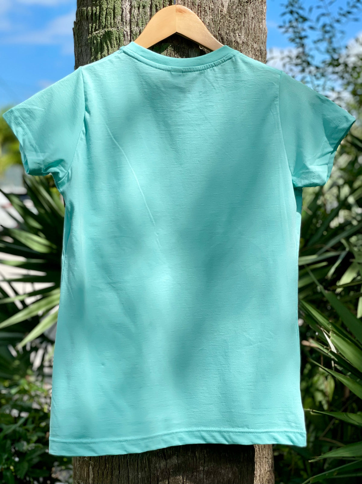 *NEW* Roseate Spoonbill Ladies' Modern Fit T-shirt