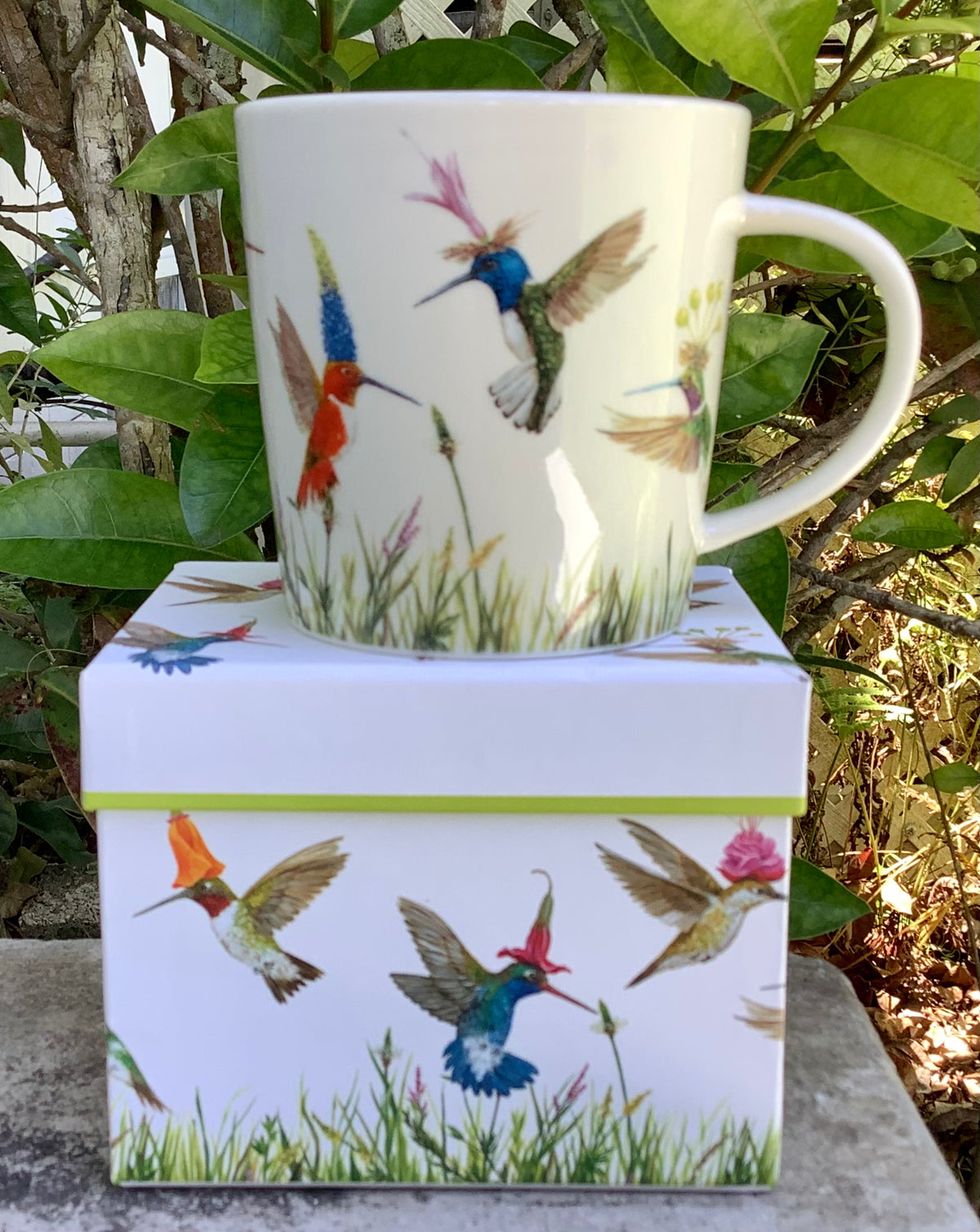 Meadow Buzz Mug and Gift Box