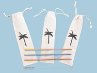 Stainless Steel Drinking Straw 3 Pack & Cleaner