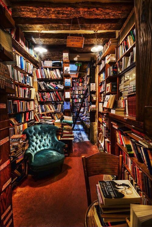 The Curator's Corner