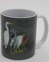 Pond Scoggins Mug