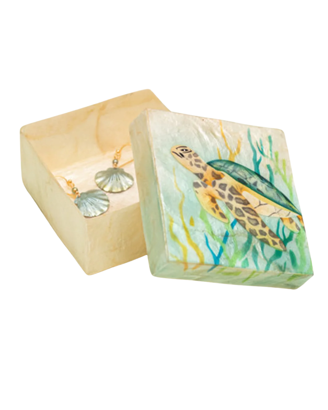Capiz Box Sea Turtle Seaweed 1128