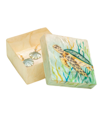 Capiz Box Sea Turtle Seaweed 1128