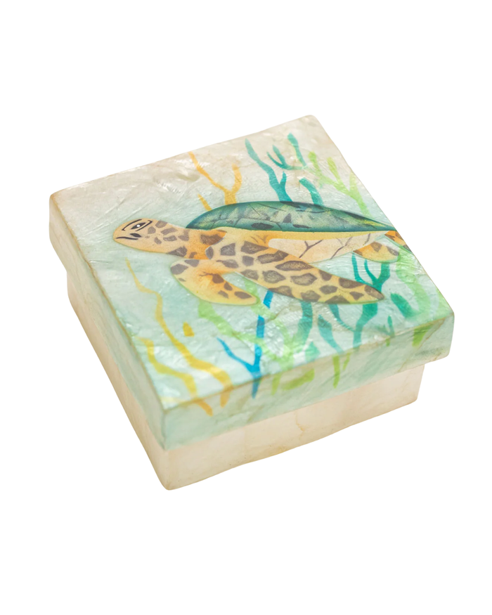 Capiz Box Sea Turtle Seaweed 1128