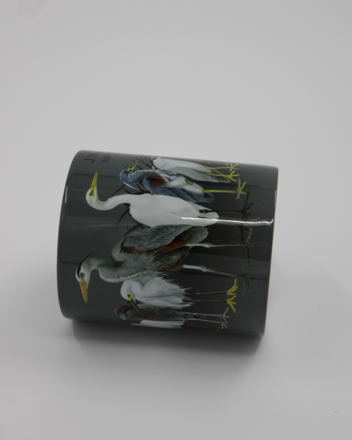 Pond Scoggins Mug