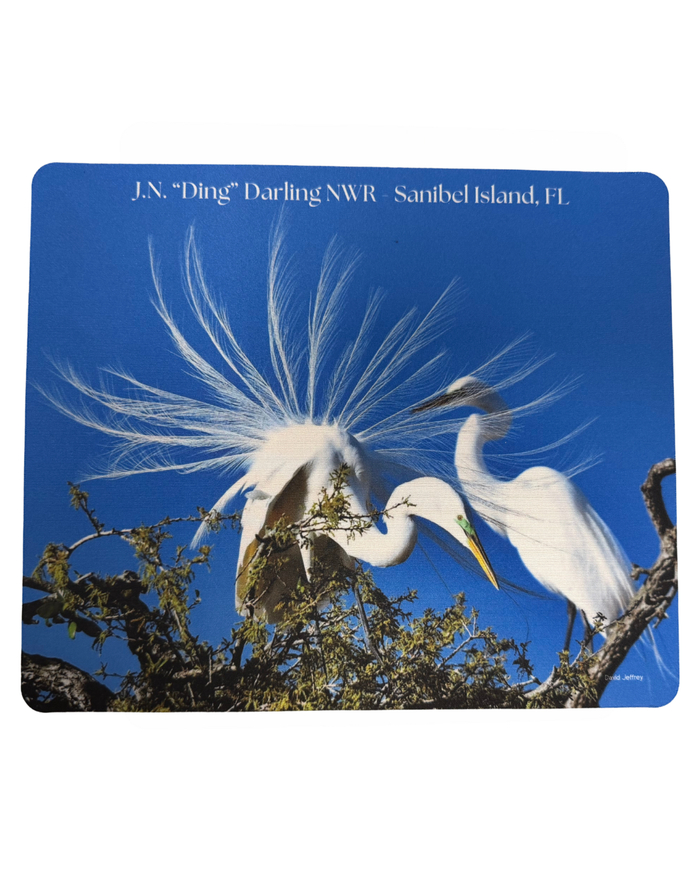 Mousepad - Great Egret