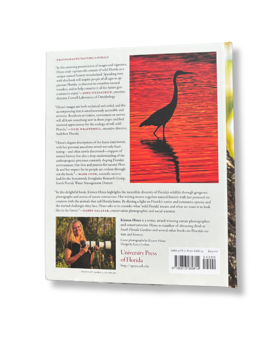 Wild Florida: An Animal Odyssey