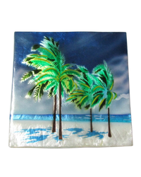 Capiz Box Palm Trees 1587