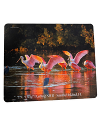 Mousepad - Spoonbill