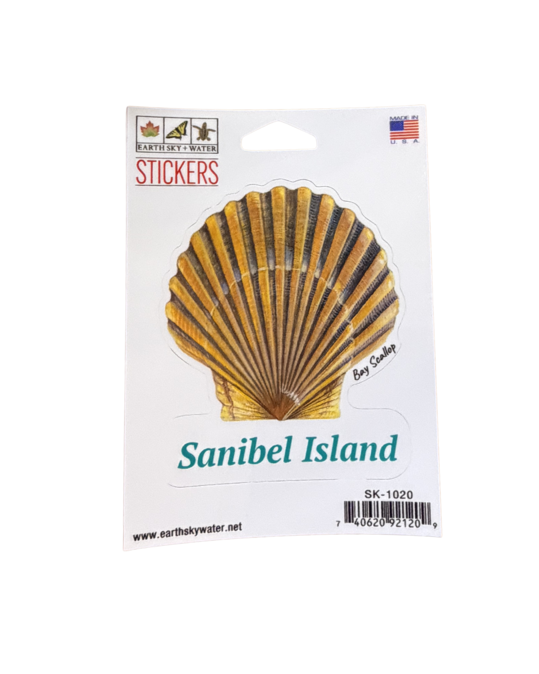 Bay Scallop Sticker