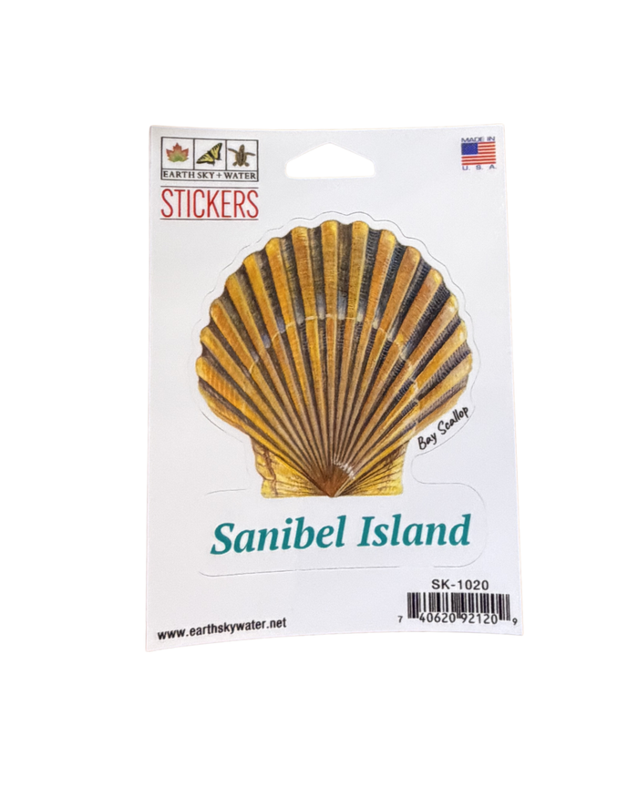 Bay Scallop Sticker