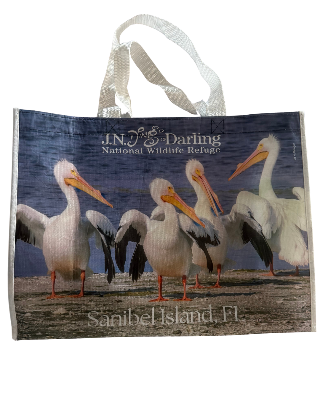 Shopping Bag - Reusable