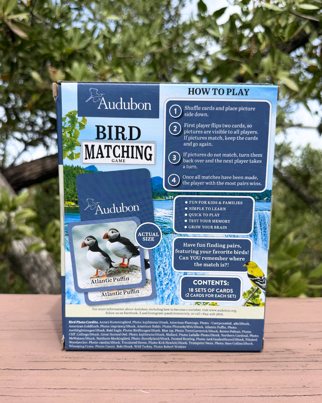 Audubon Bird Matching Game