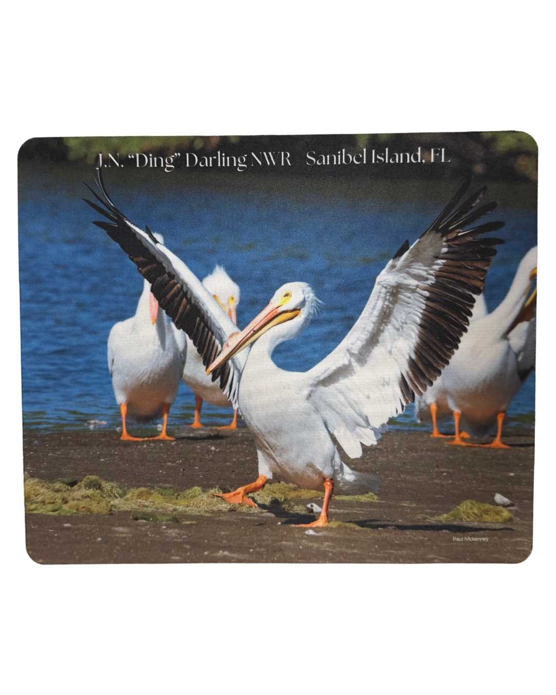Mousepad - White Pelican