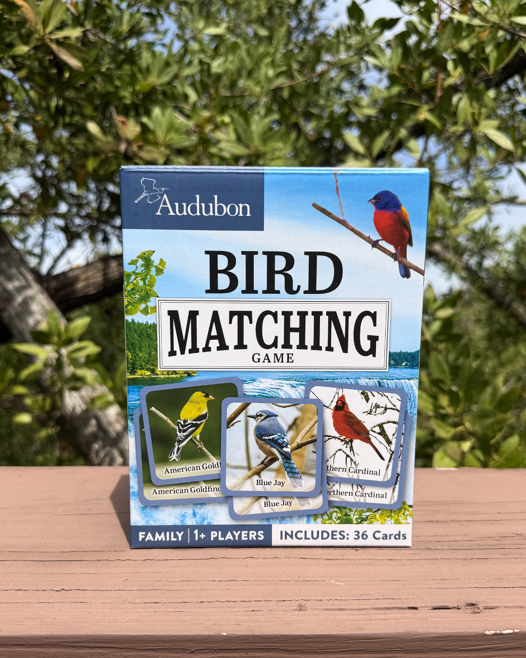 Audubon Bird Matching Game