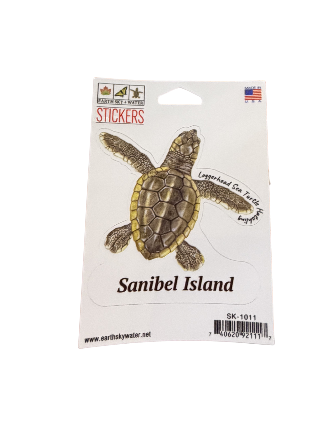 Loggerhead Hatchling Sticker