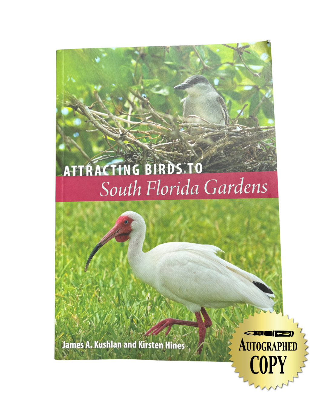 Attracting Birds to South Florida Gardens