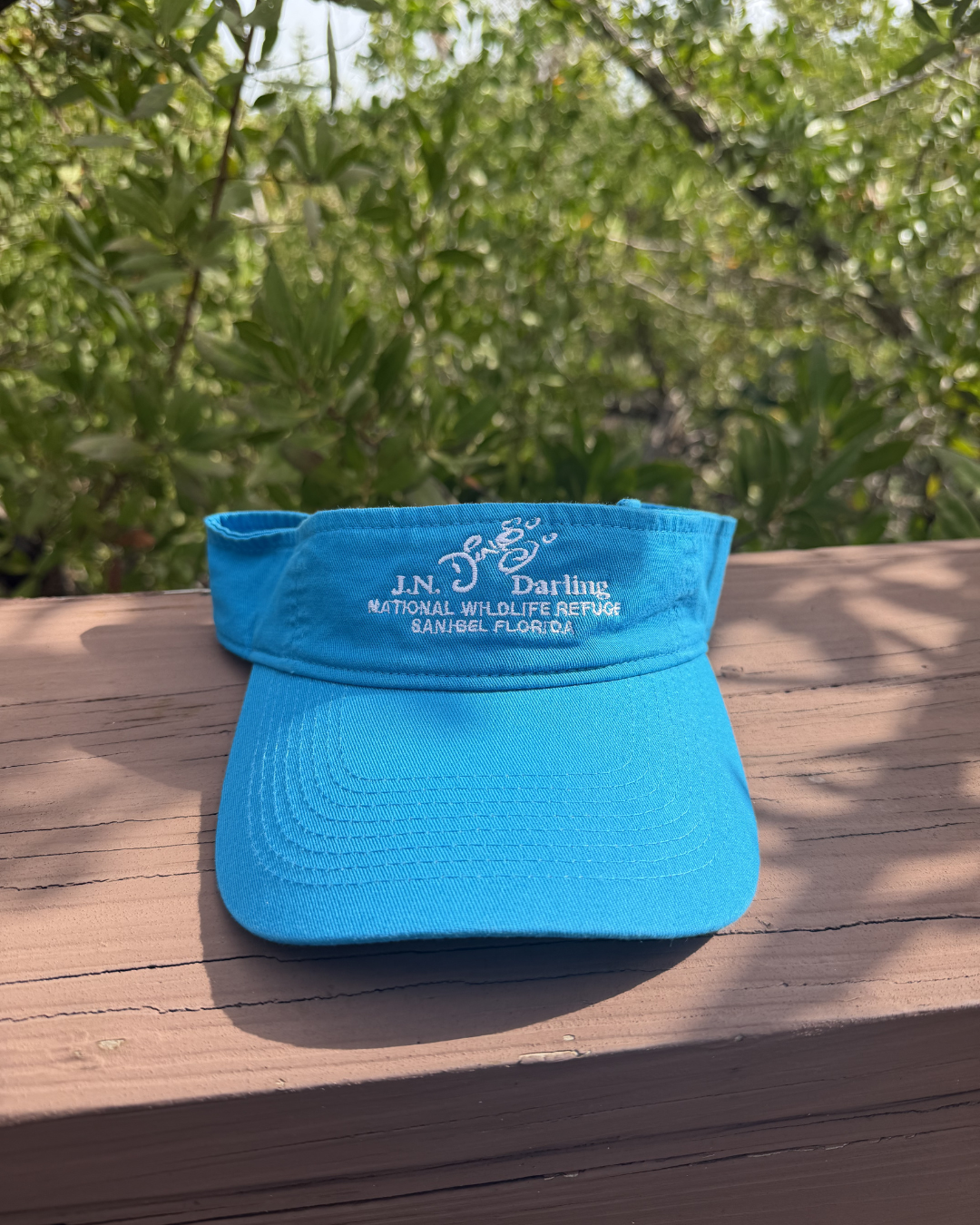 Sapphire "Ding" Visor