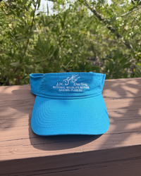 Sapphire "Ding" Visor