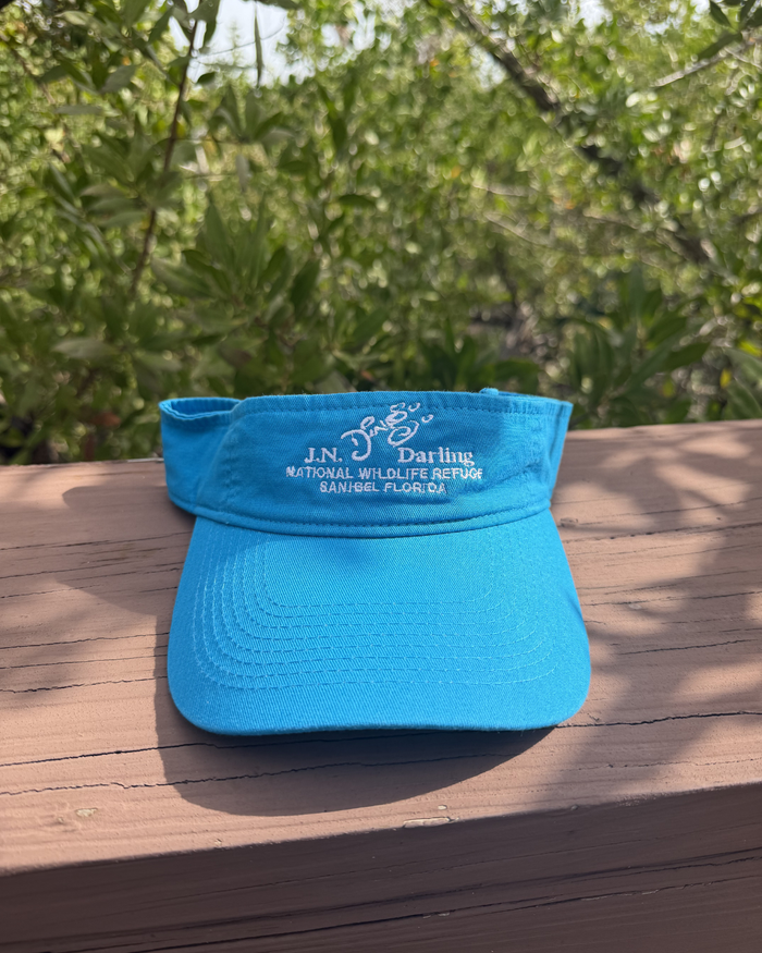 Sapphire "Ding" Visor