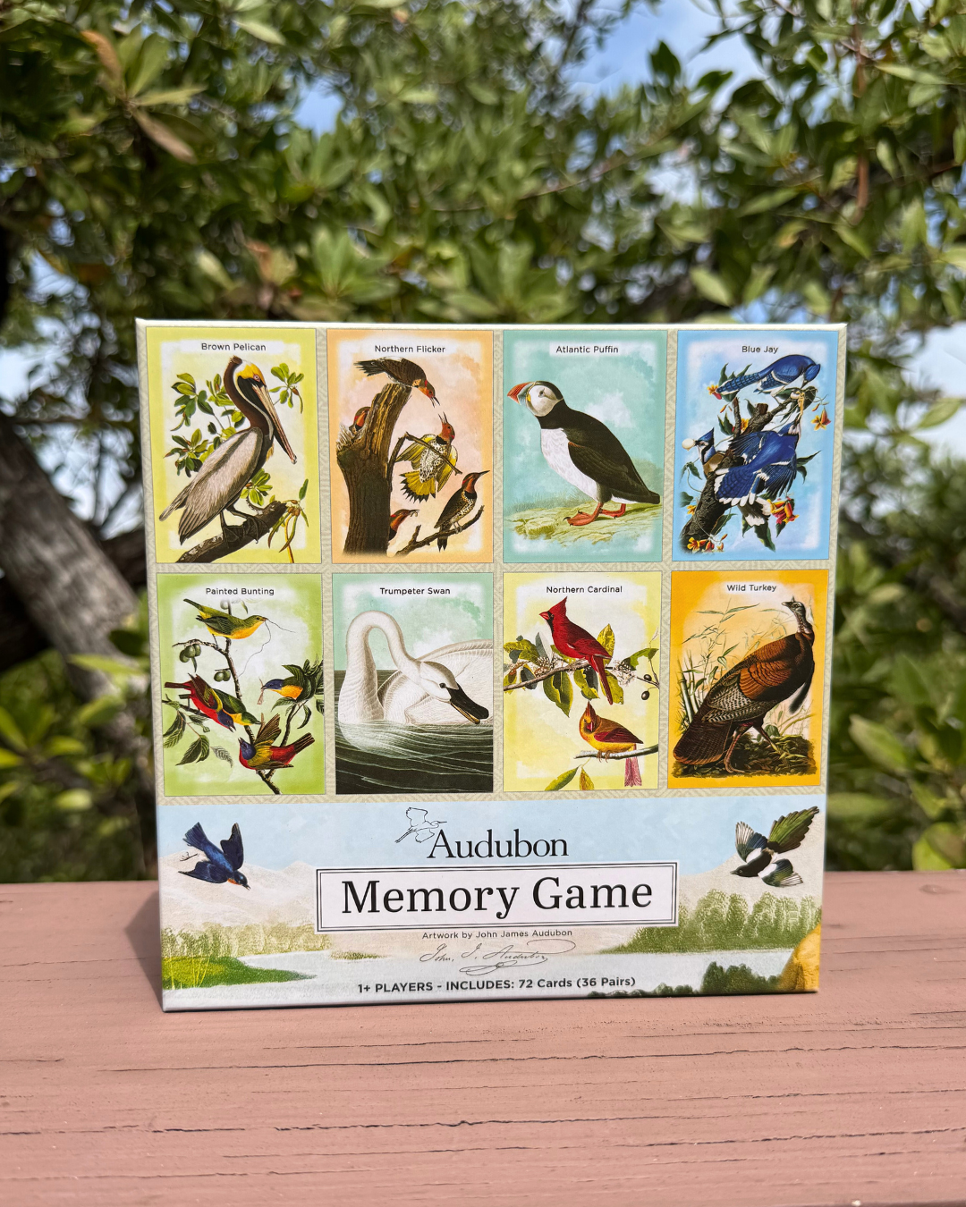 Audubon Memory Game