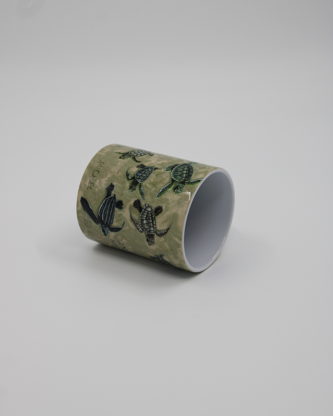 Race For Survival Mug
