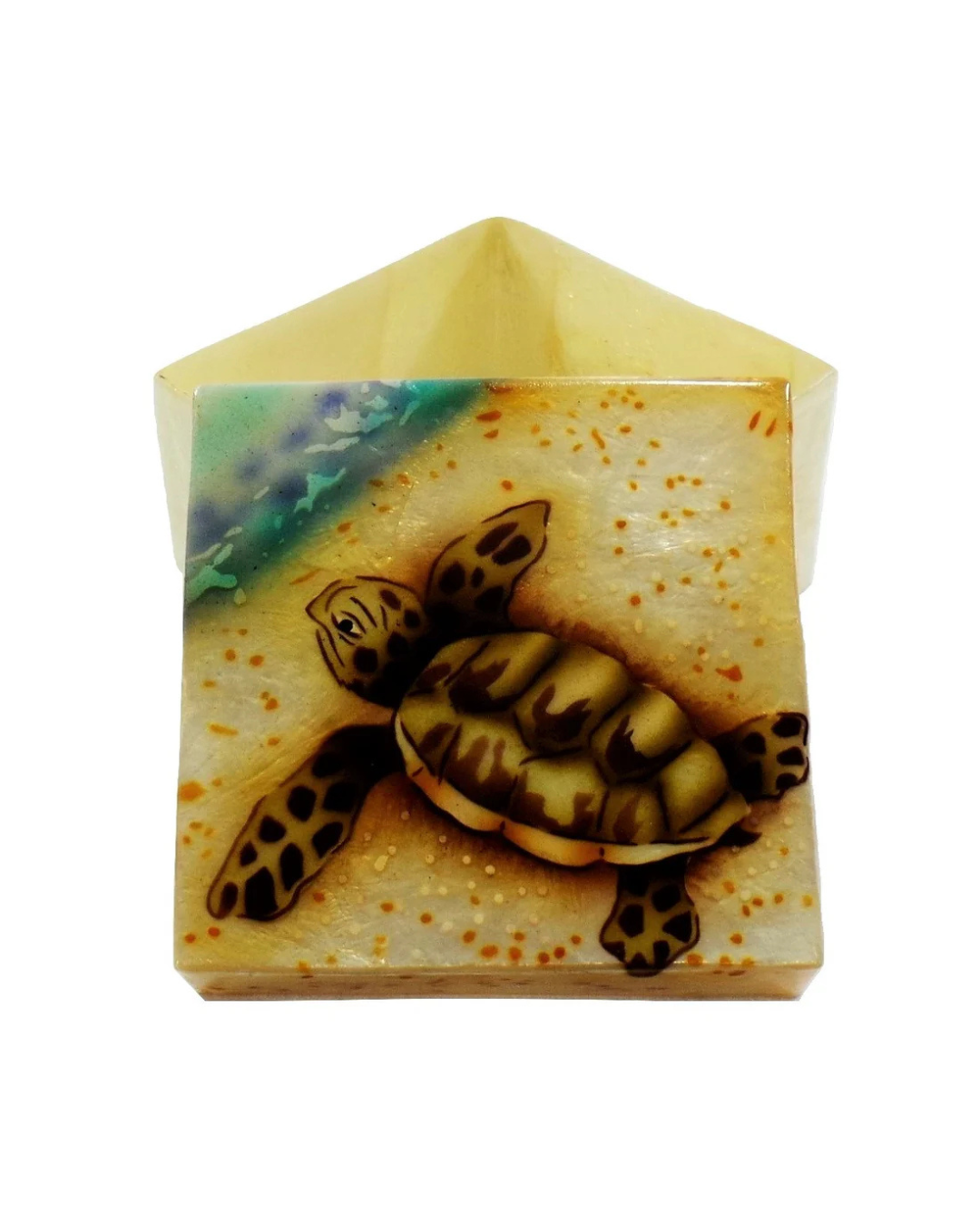 Capiz Box Sea Turtle Baby 1539