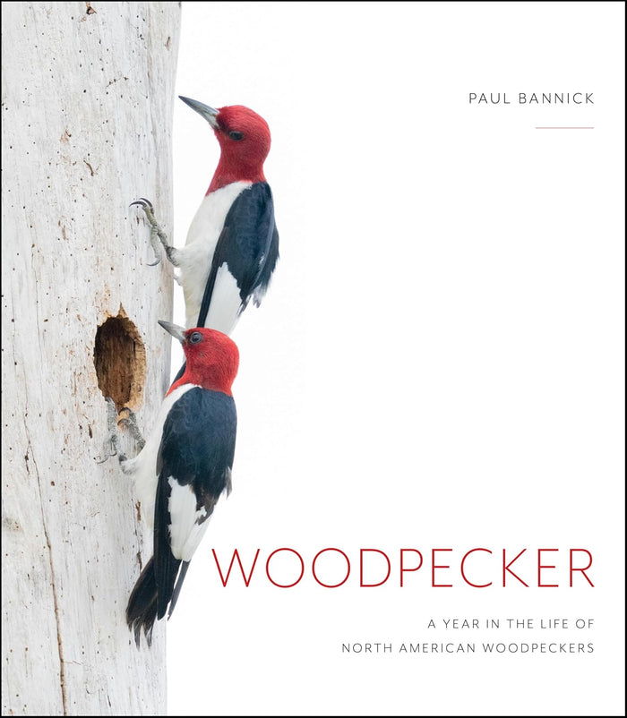 Woodpecker: A Year in the Life of North American Woodpeckers by Paul Bannick