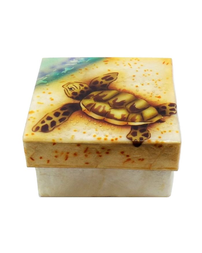 Capiz Box Sea Turtle Baby 1539