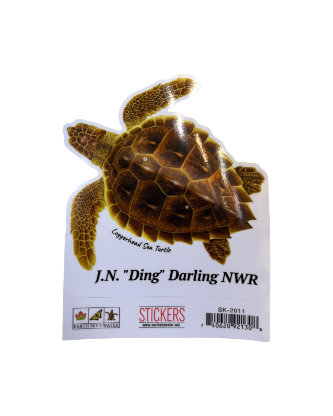 Loggerhead Turtle Sticker