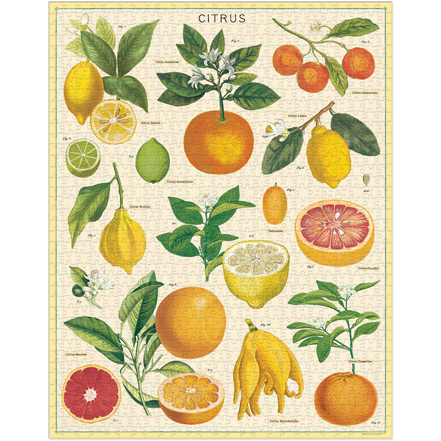 Vintage Puzzle Citrus