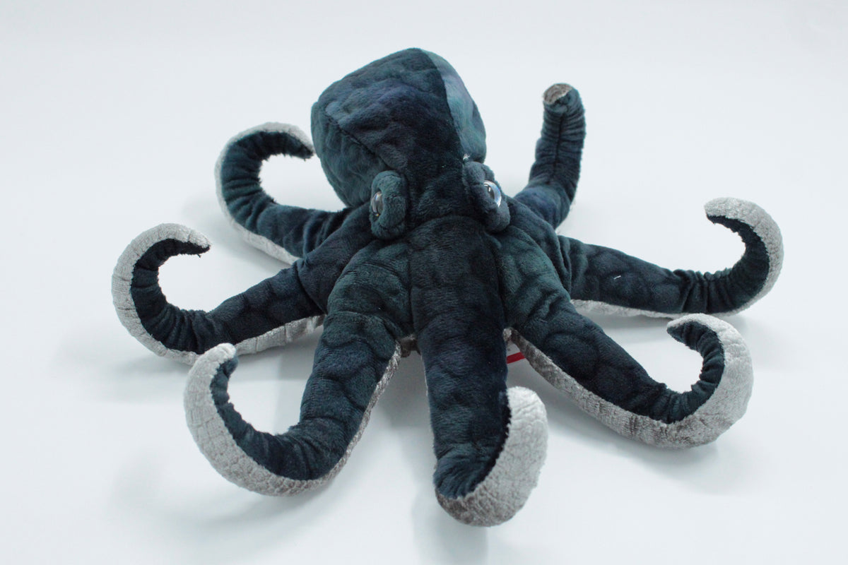 Winky Octopus