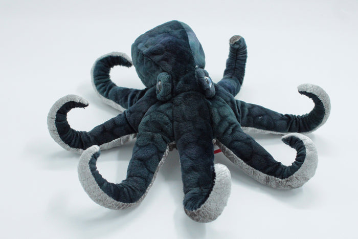 Winky Octopus