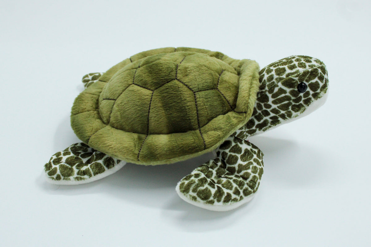 Pebbles Turtle