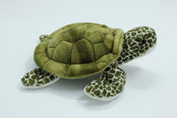 Pebbles Turtle