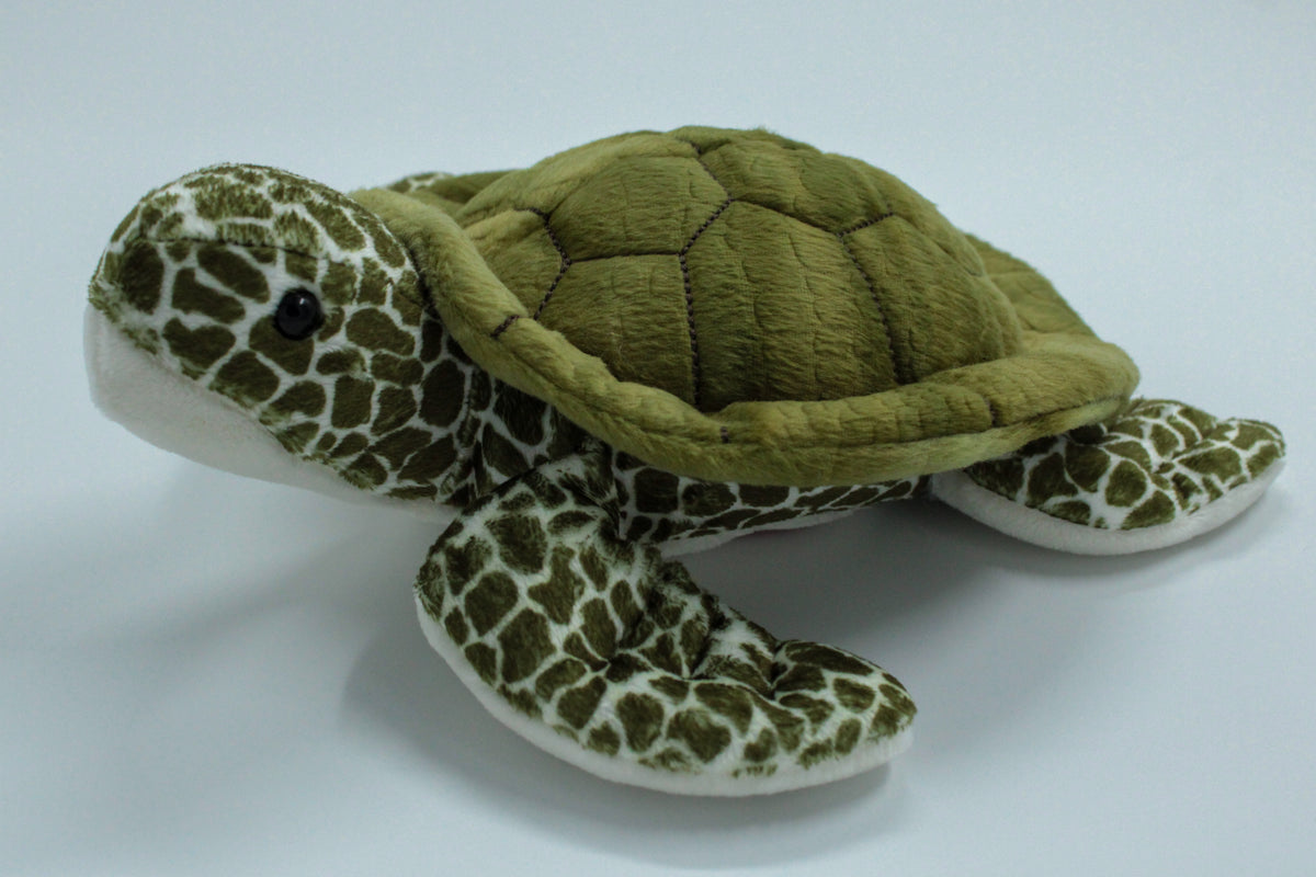 Pebbles Turtle