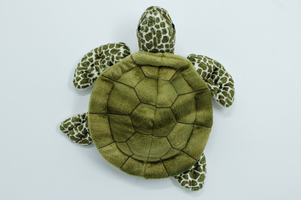 Pebbles Turtle