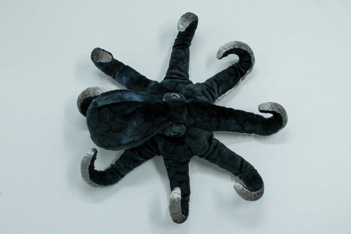 Winky Octopus