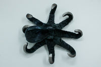 Winky Octopus