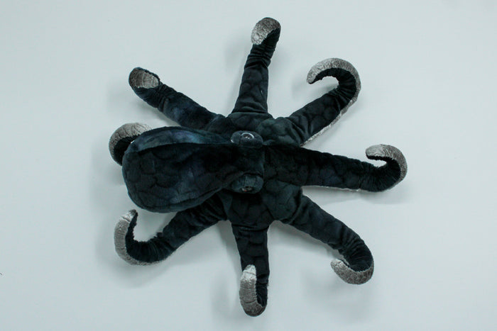Winky Octopus